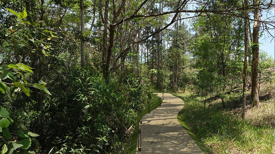 Trilha de Caminhada
